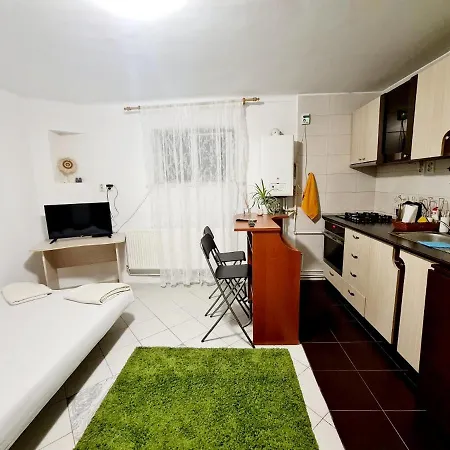 Apartment Studio Cotroceni *